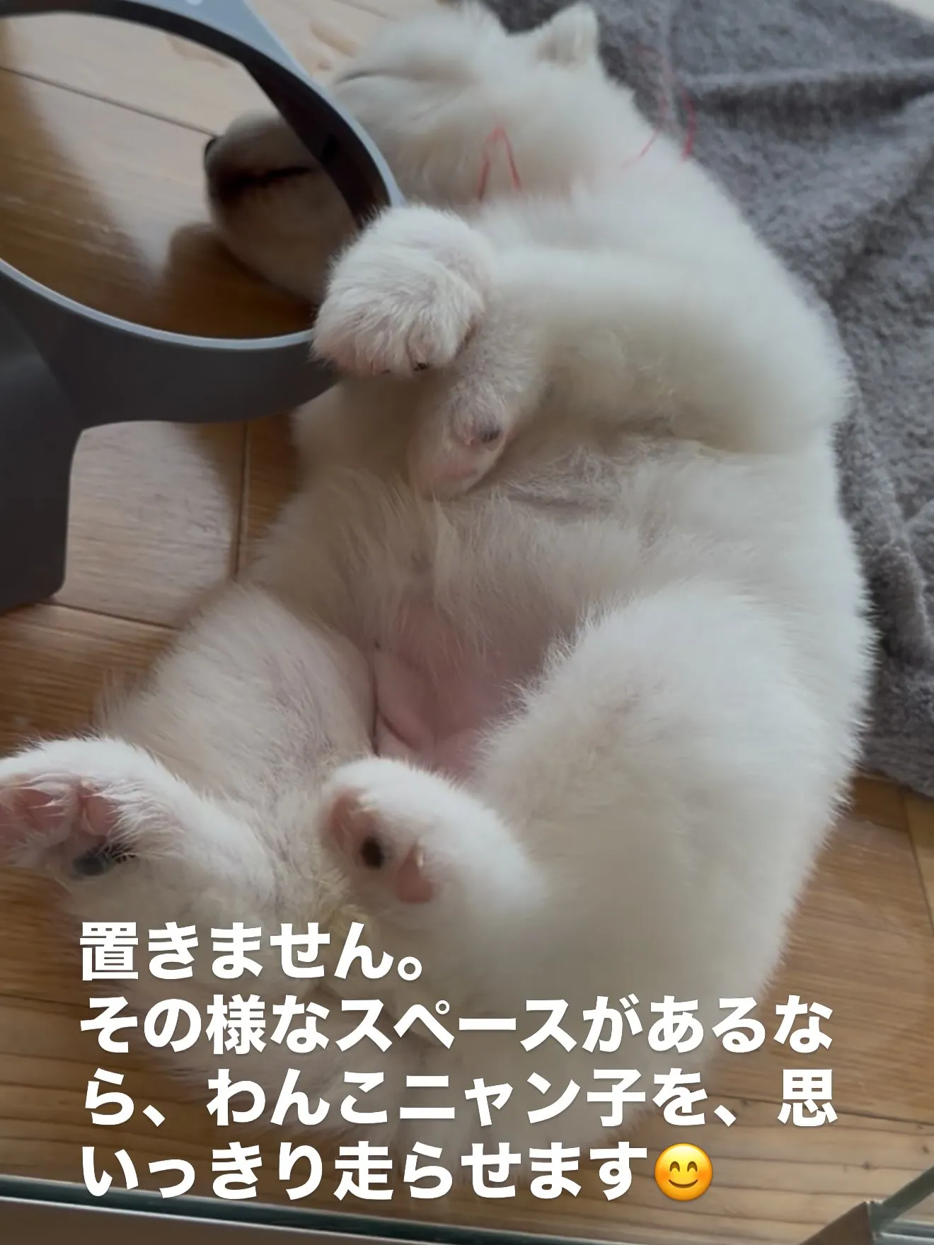 皆んなが大切な家族です🏠 スタッフ皆んなで、触れ合い、