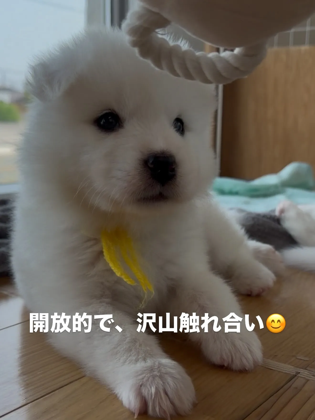 皆んなが大切な家族です🏠 スタッフ皆んなで、触れ合い、