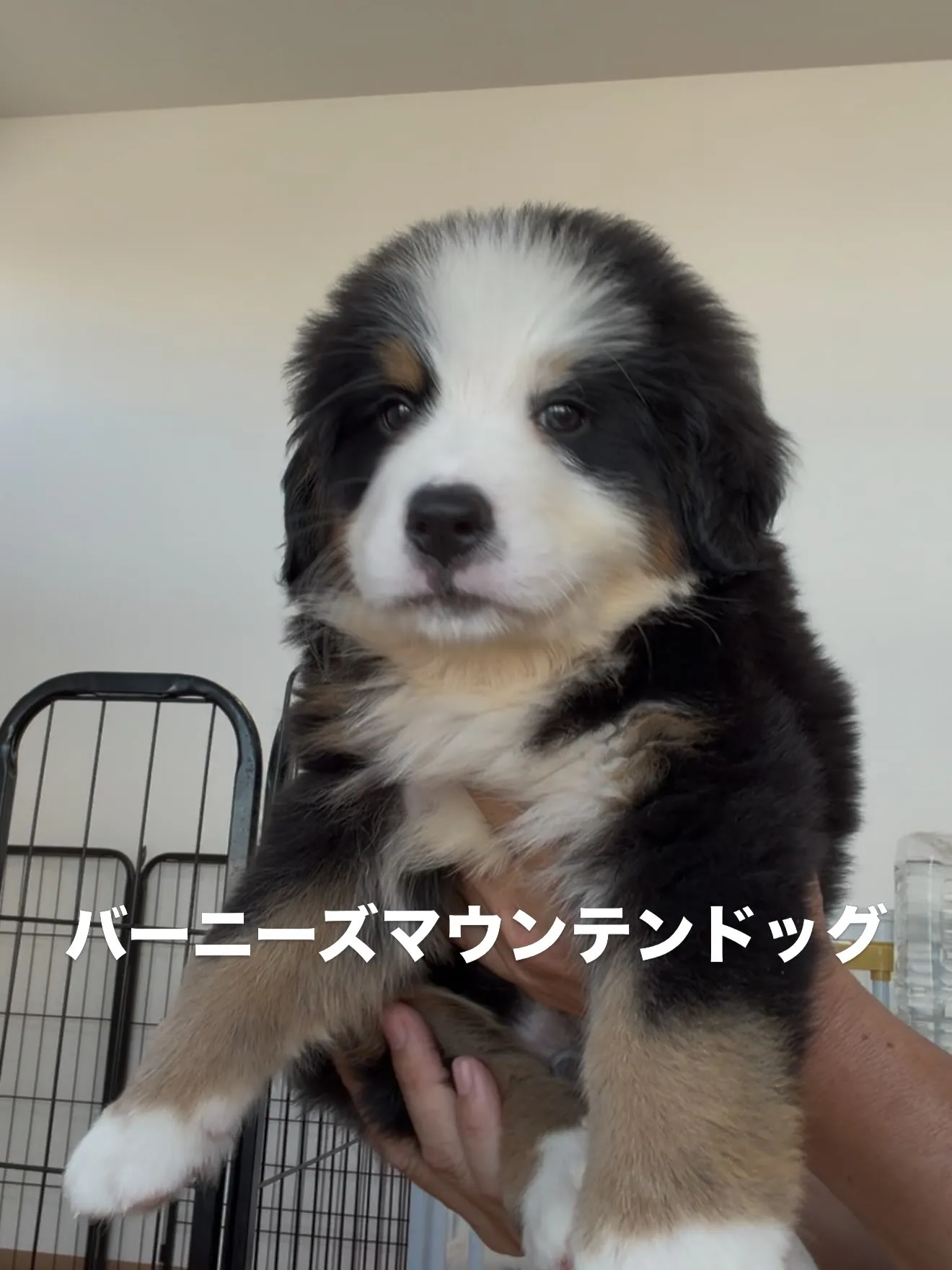 ご家族様を募集致します🏠