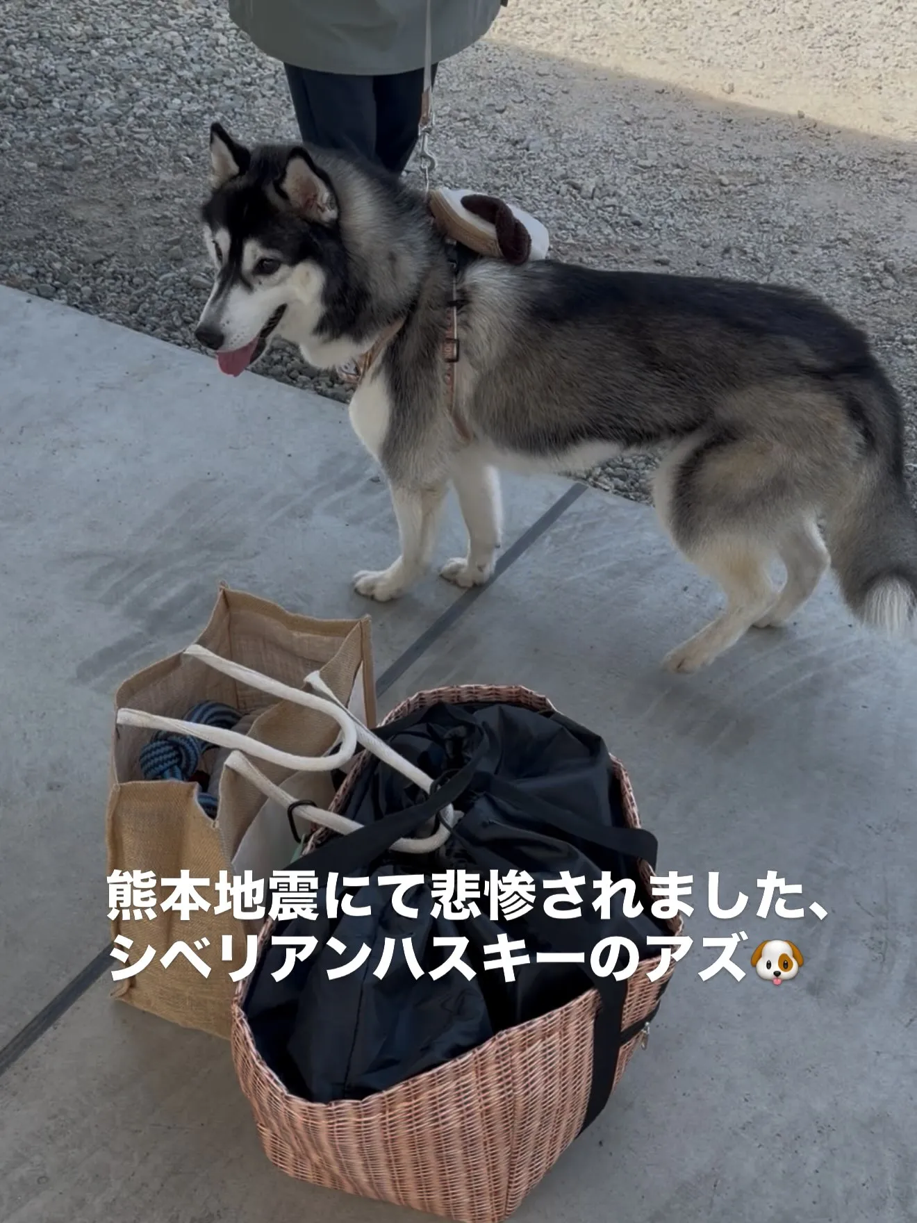 まだまだ、被災地は非常に辛い状況みたいです。