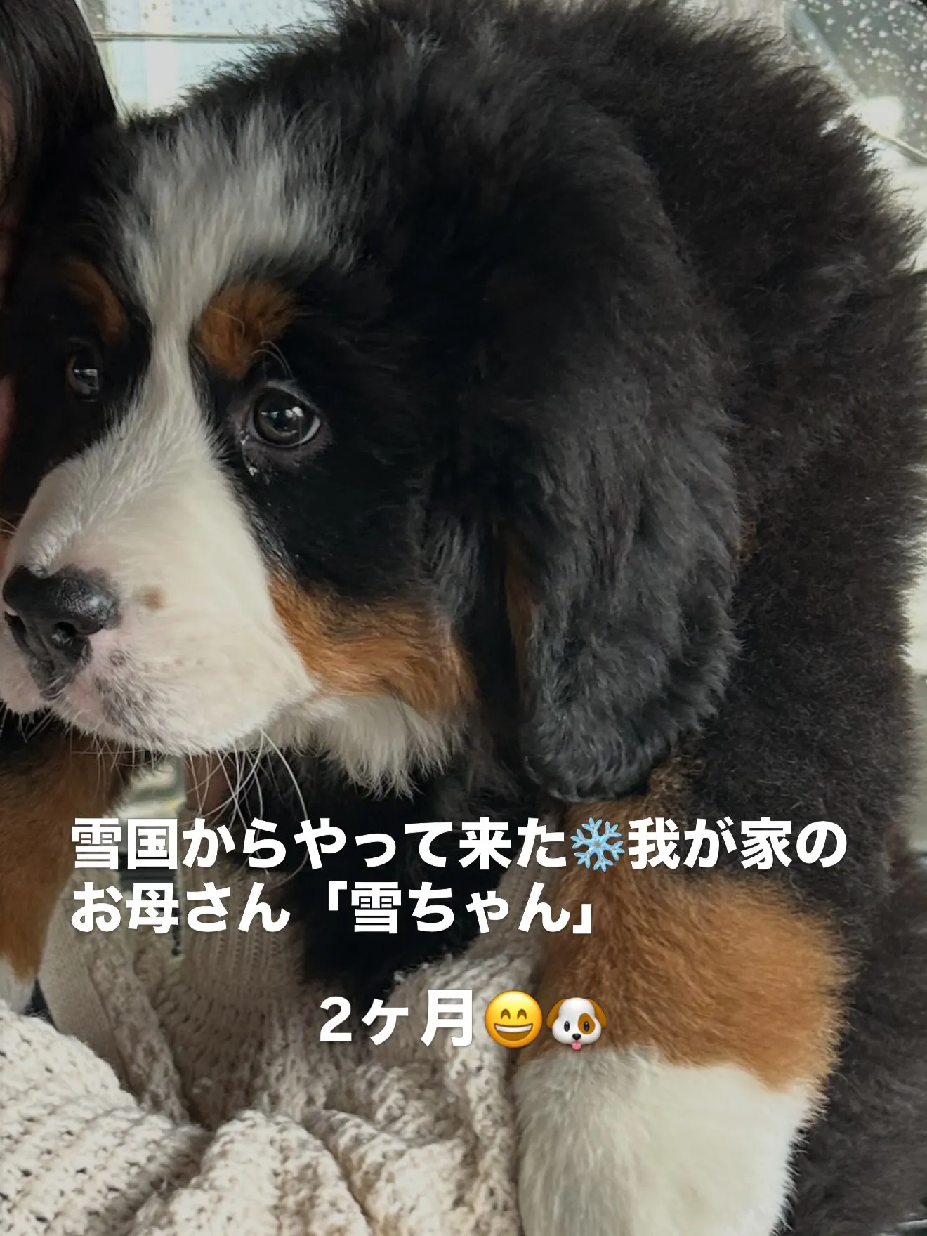 ファミリー紹介🏠Part8 