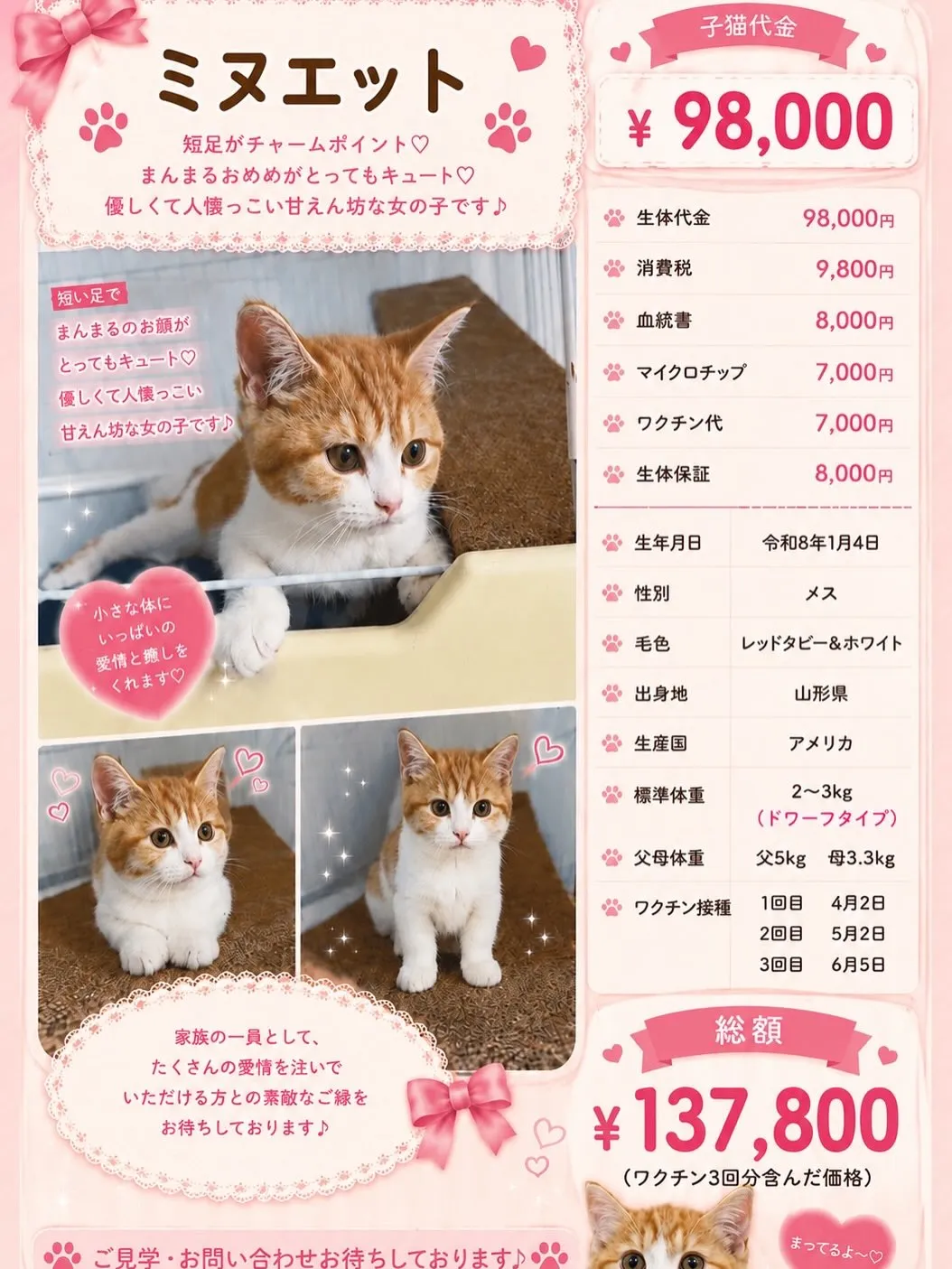 大型犬パピーと愉快な仲間た家🏠