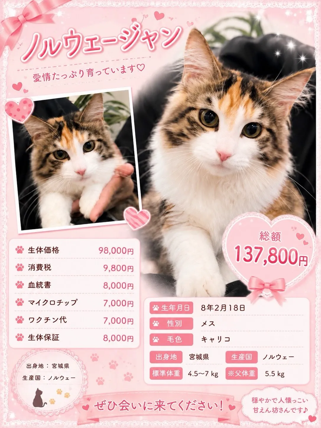 大型犬パピーと愉快な仲間た家🏠