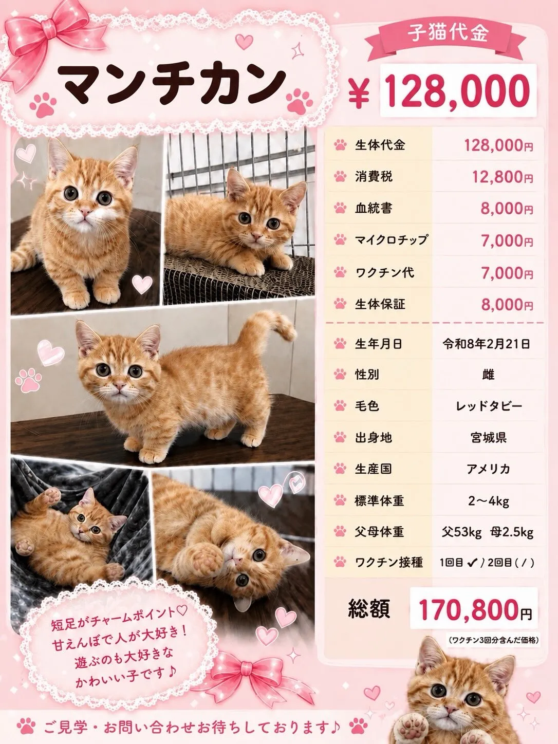 大型犬パピーと愉快な仲間た家🏠