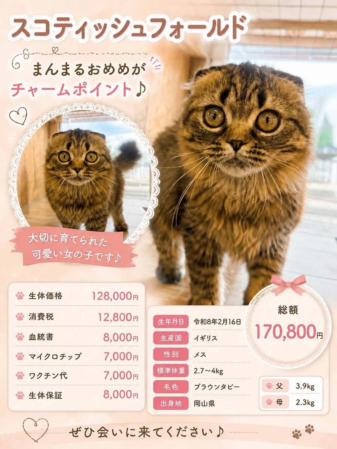 大型犬パピーと愉快な仲間た家🏠