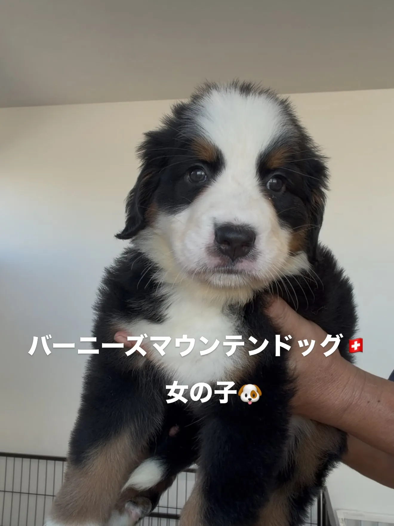 ご家族様を募集致します🏠