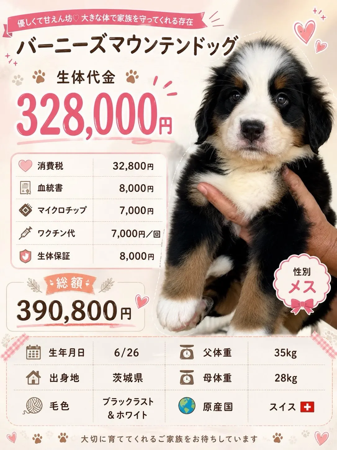 ご家族様を募集致します🏠