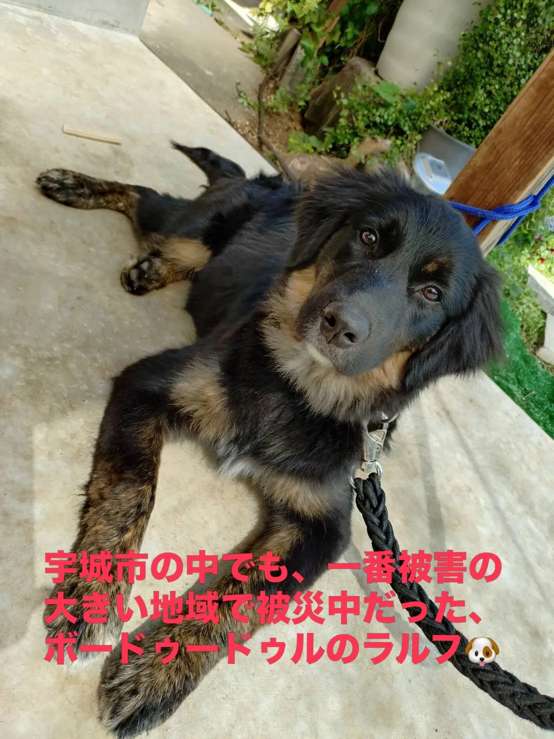 水がでましたー！！　　と、ご連絡を頂きました😭😊