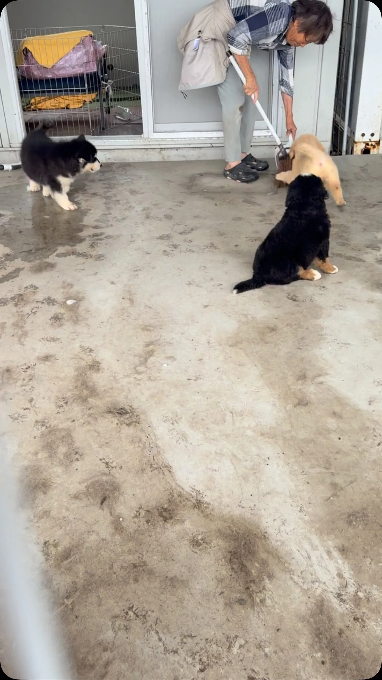 朝のひととき😌　　