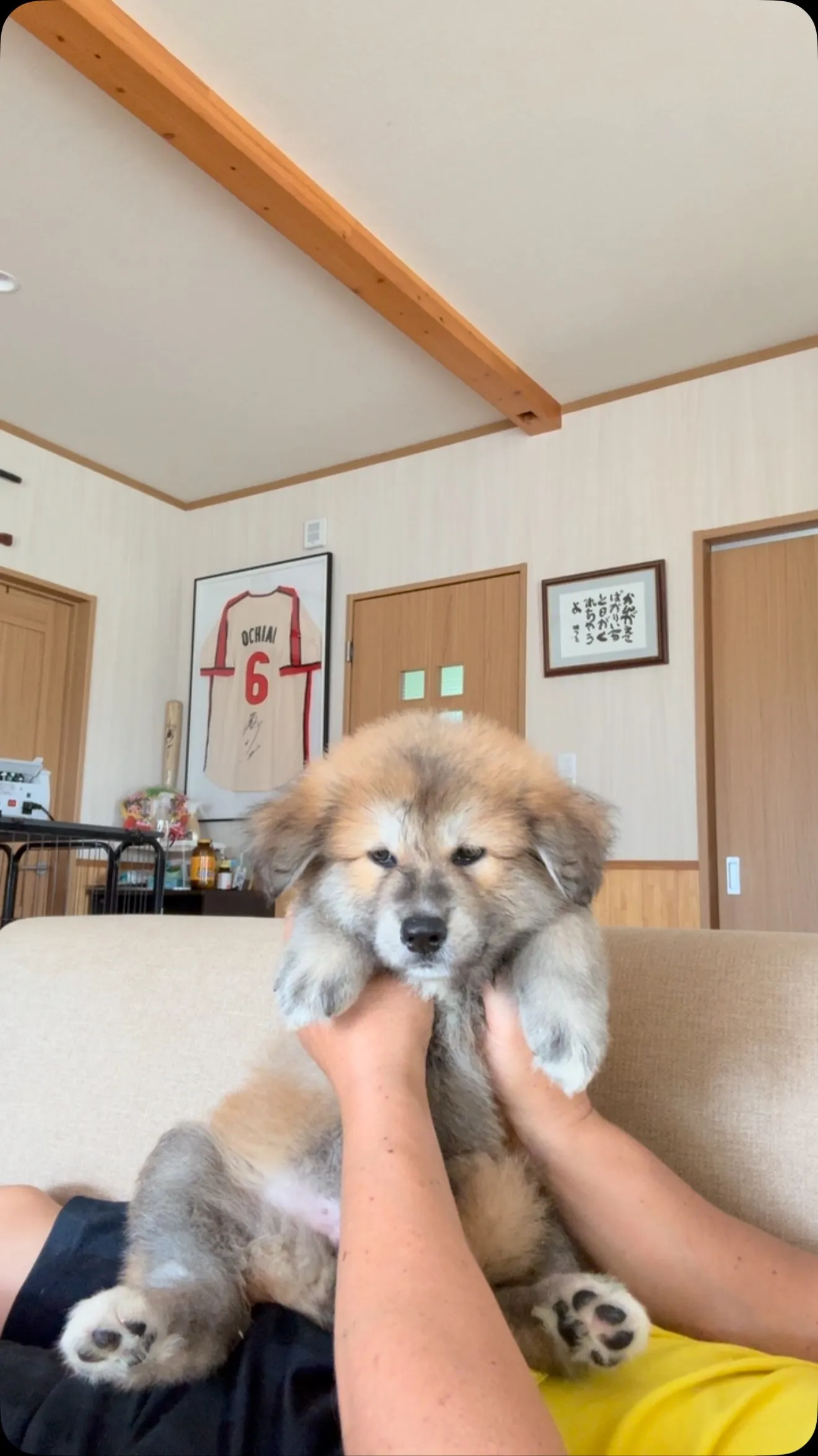 おはようございます☀️
