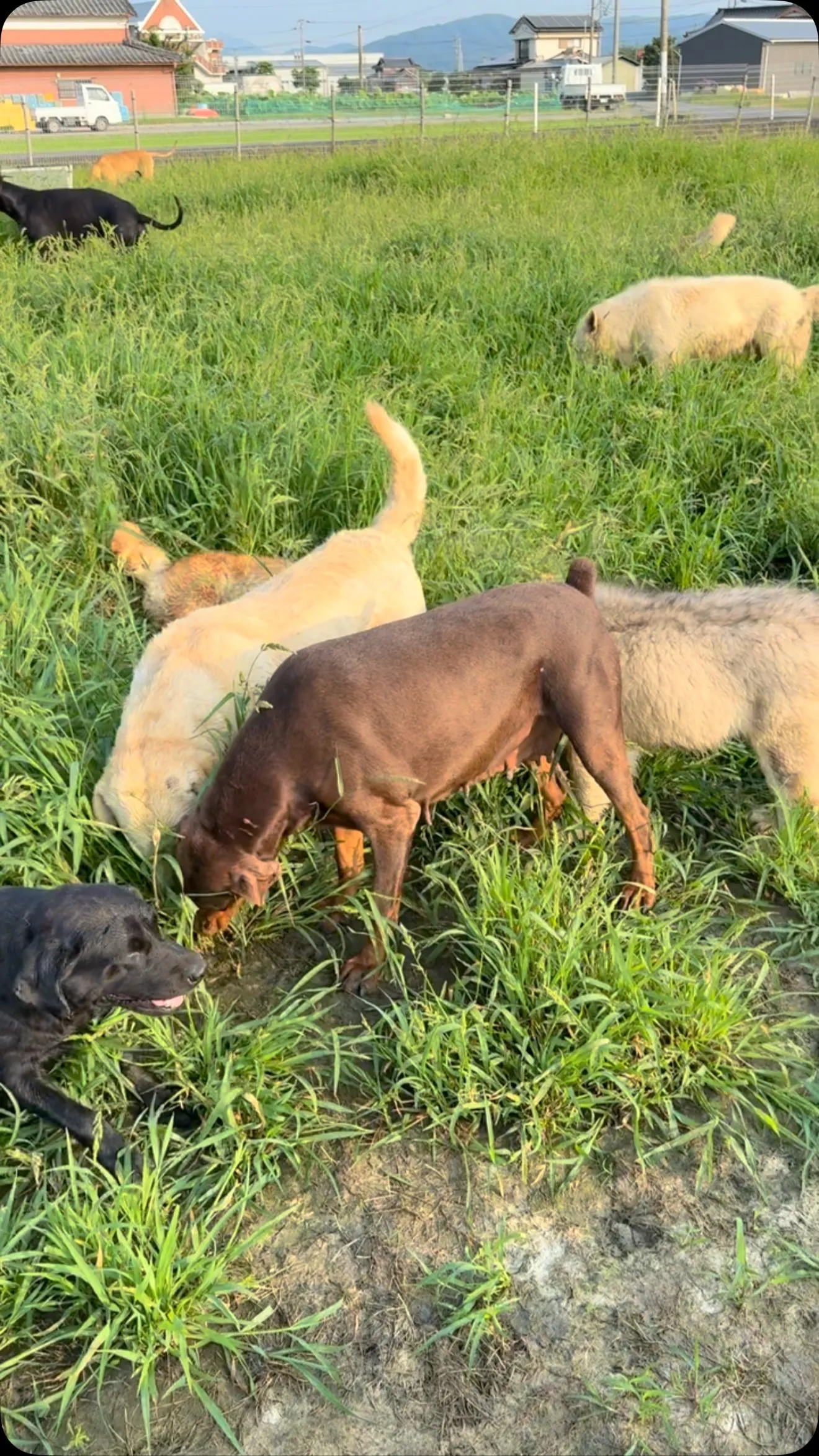 おはようございます🐶