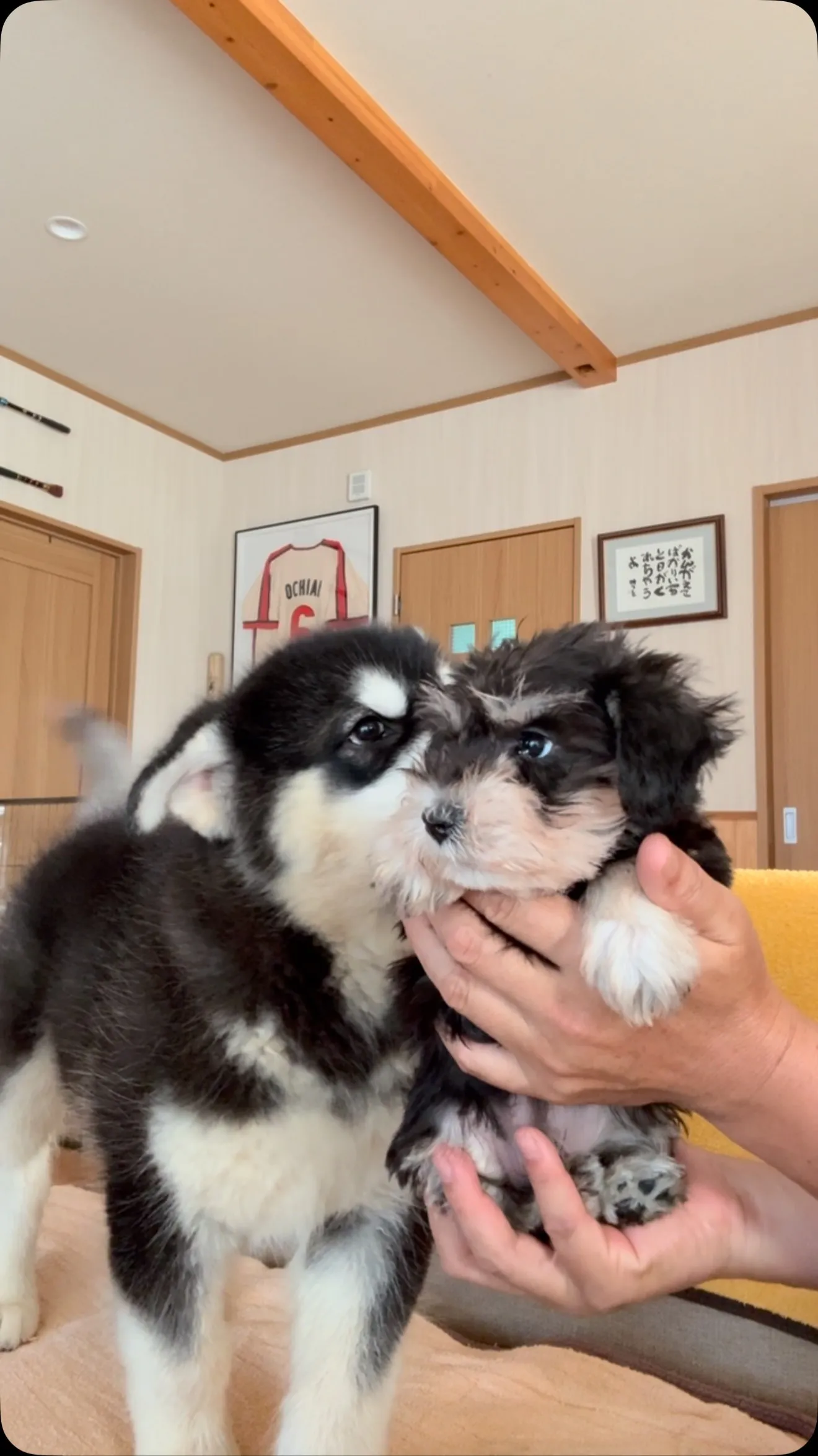 おはようございます☀