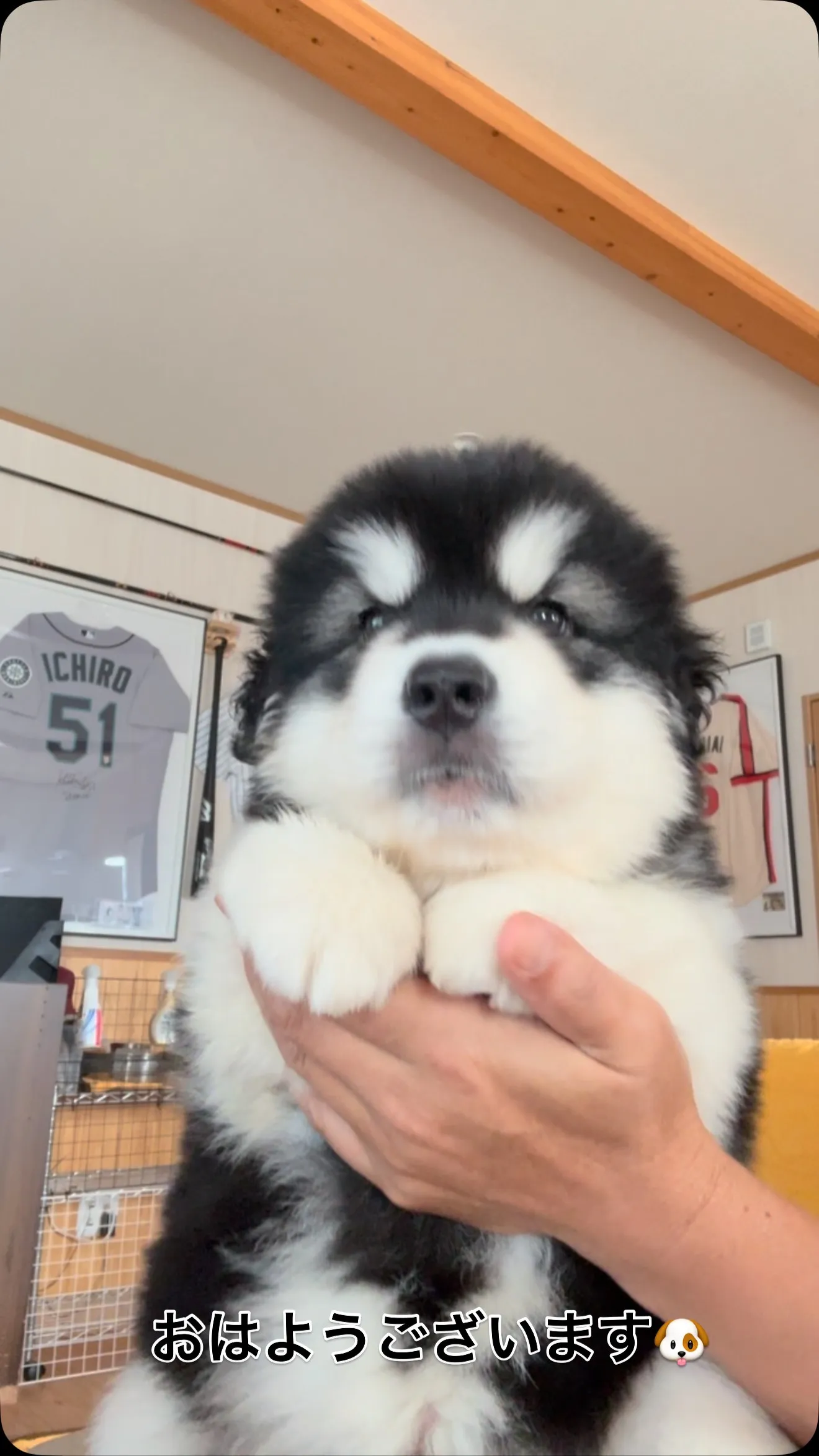 朝のひととき🐶