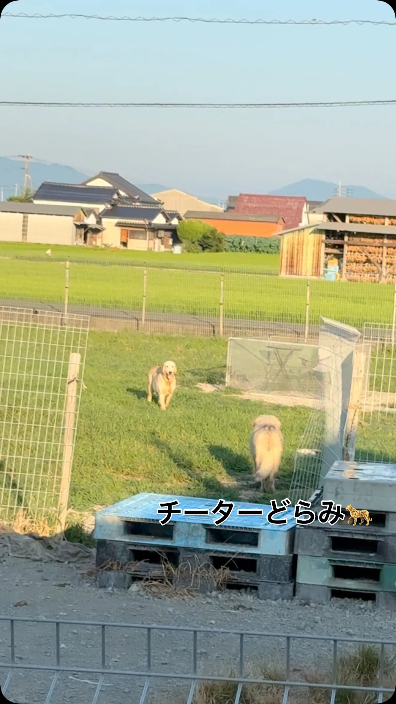 おはようございます。