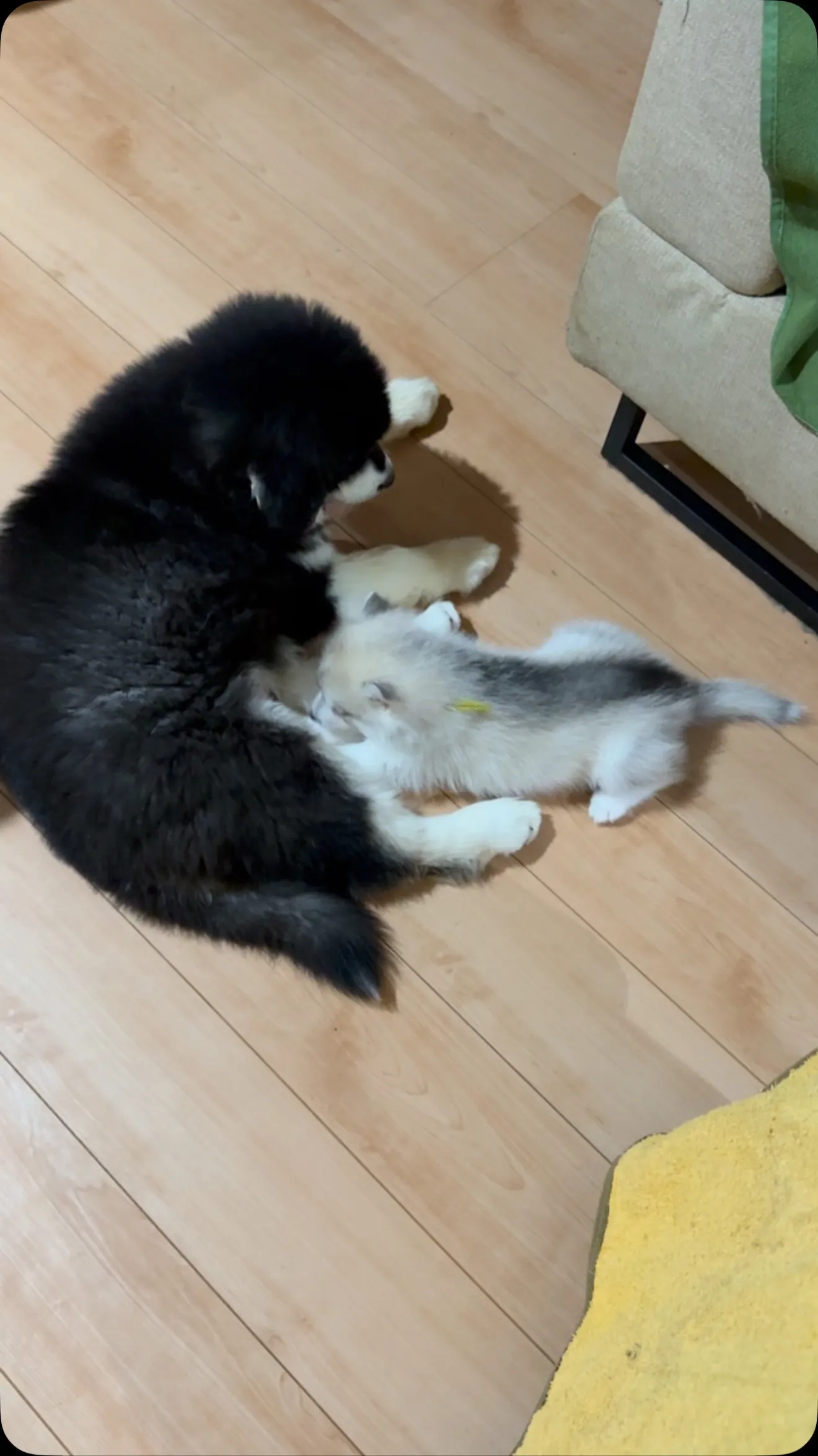おはようございます。