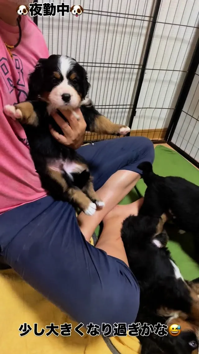 夜勤中です😅