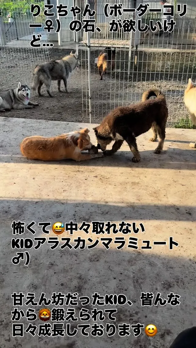 朝のひととき🐶