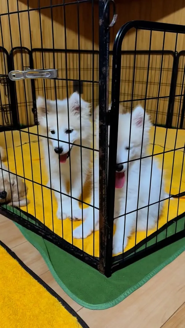 今日も一日お疲れ様でした😌