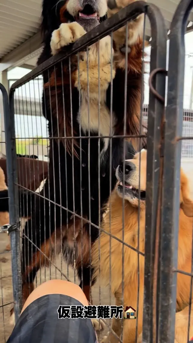 朝のひととき🐶