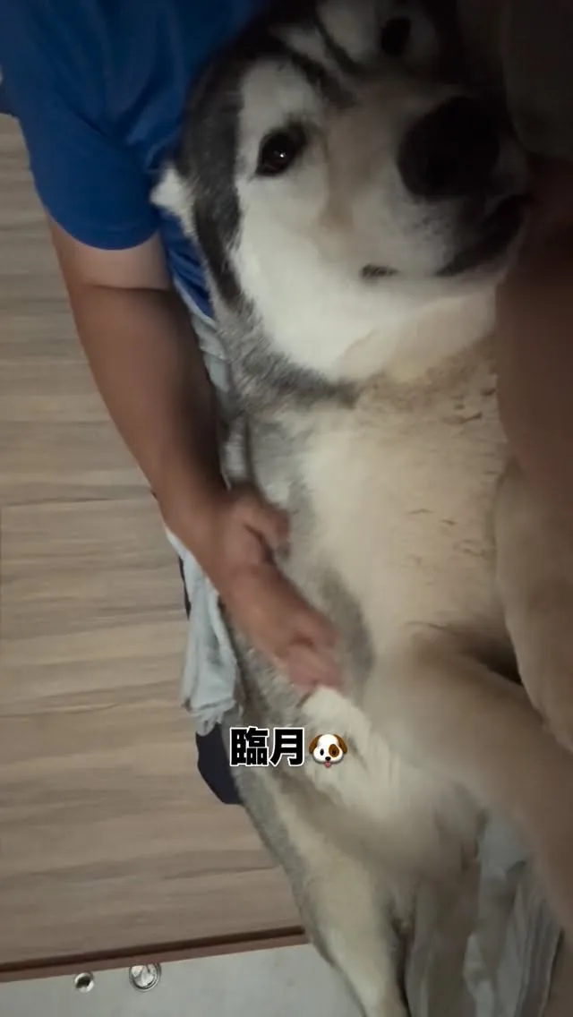 今夜も🌃