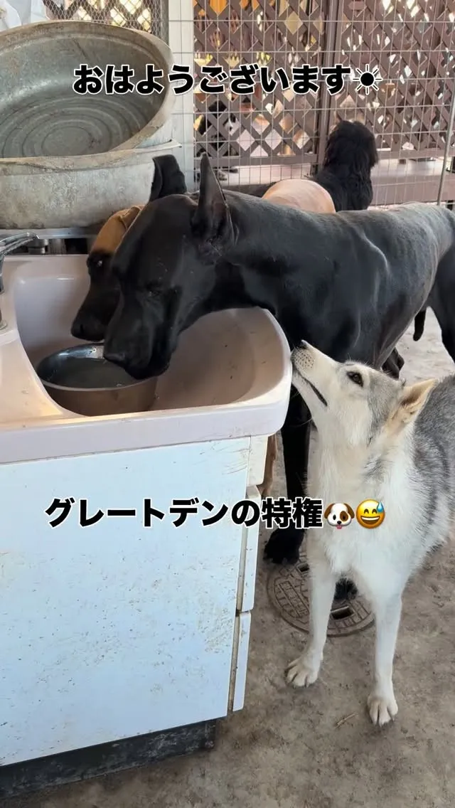#️⃣夫婦水飲み