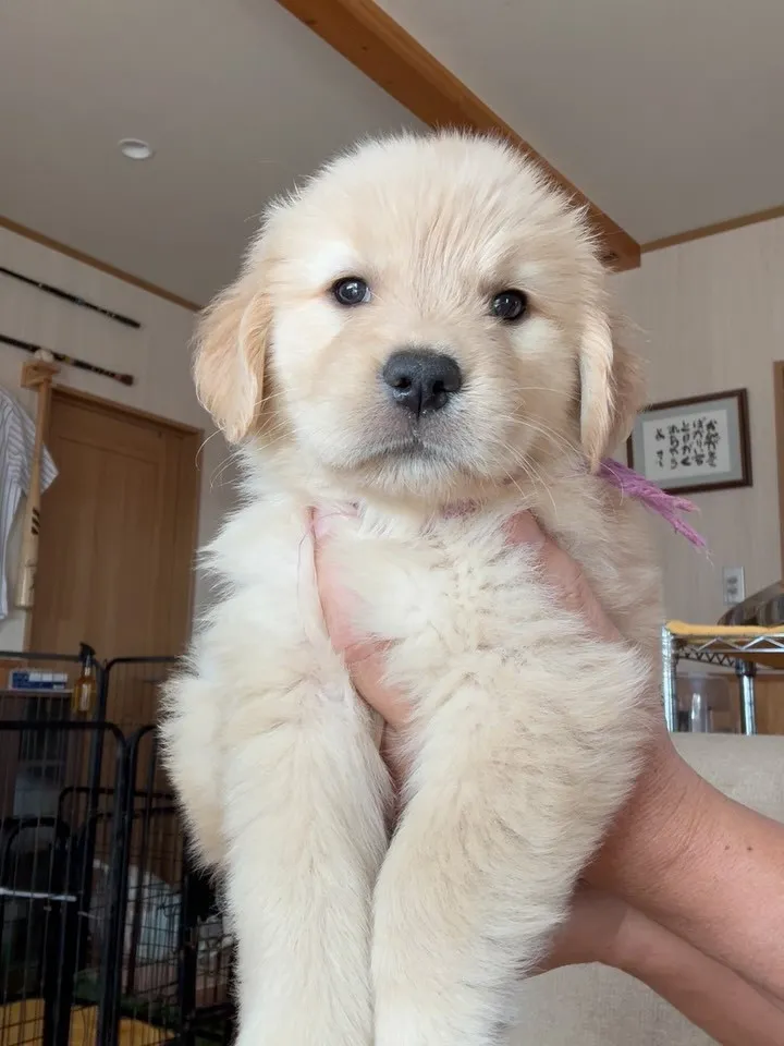 お昼のひととき🐶