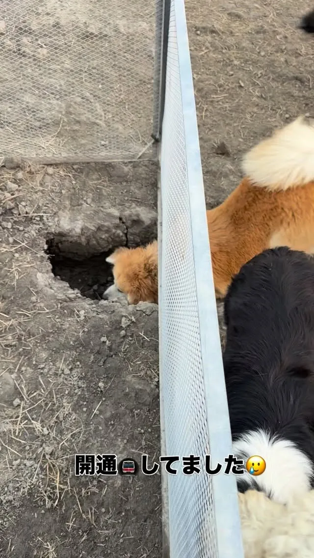 おはようございます🌅