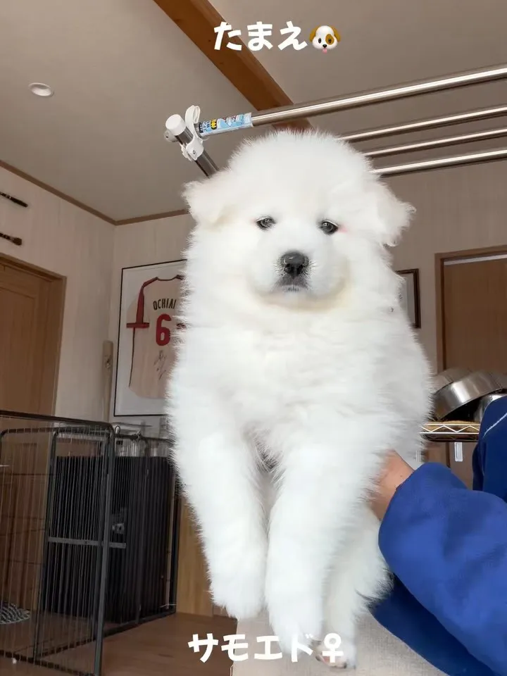 お昼のひととき🐶