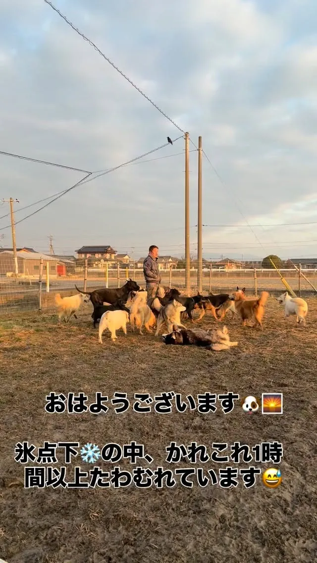 おはようございます☀