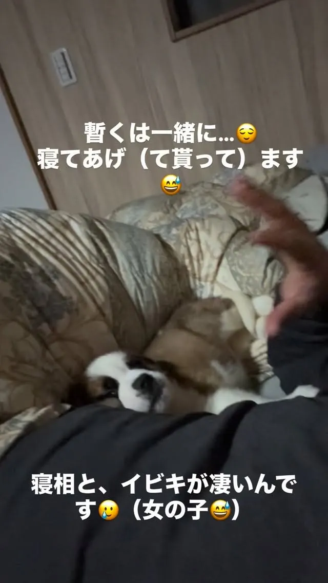 今日も一日お疲れ様でした😌