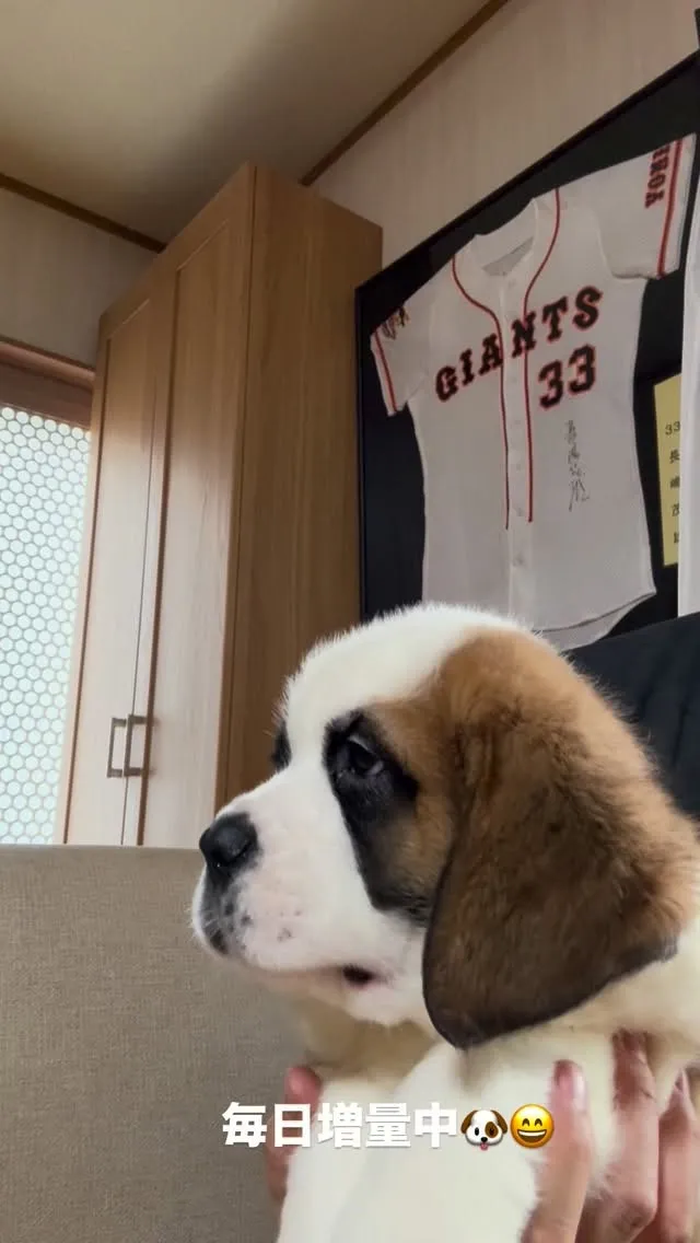 午後のひととき🐶