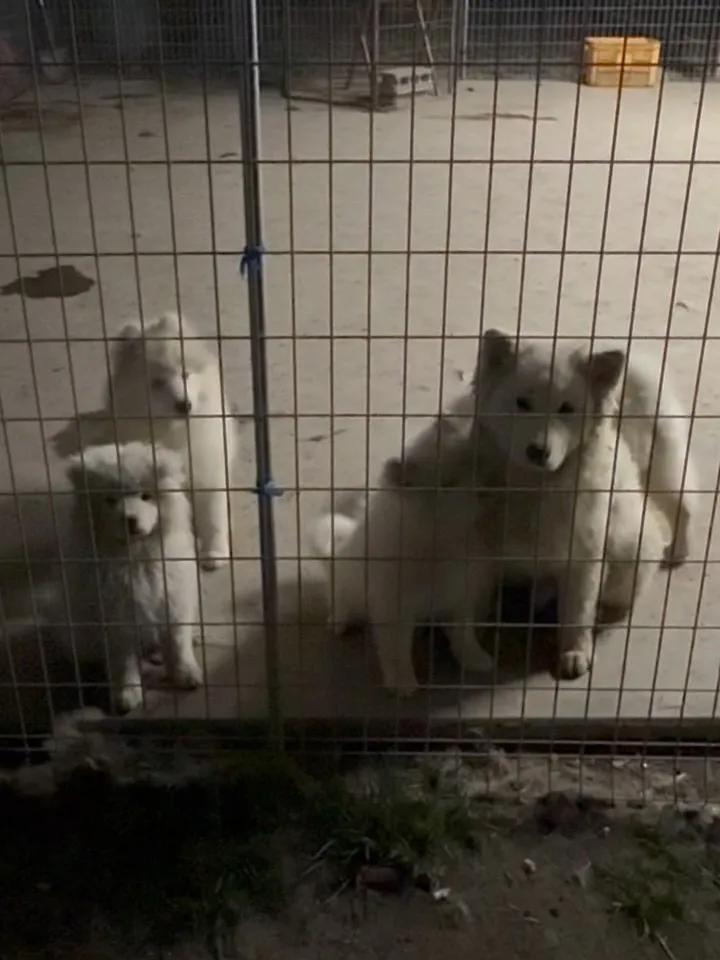 ただ今🏠。