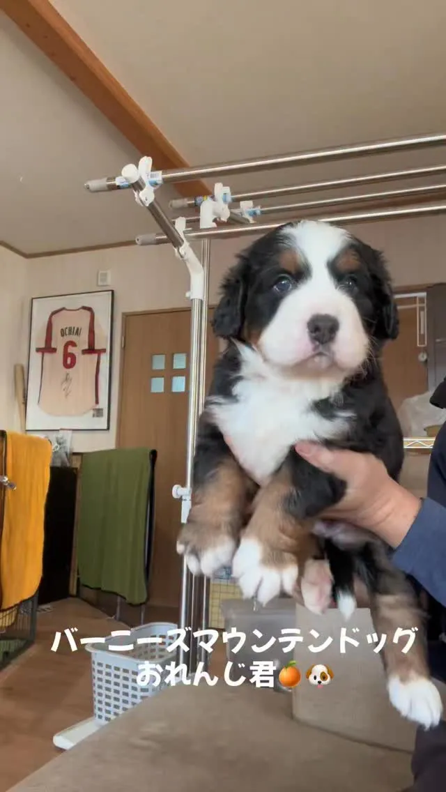 おはようございます🐶