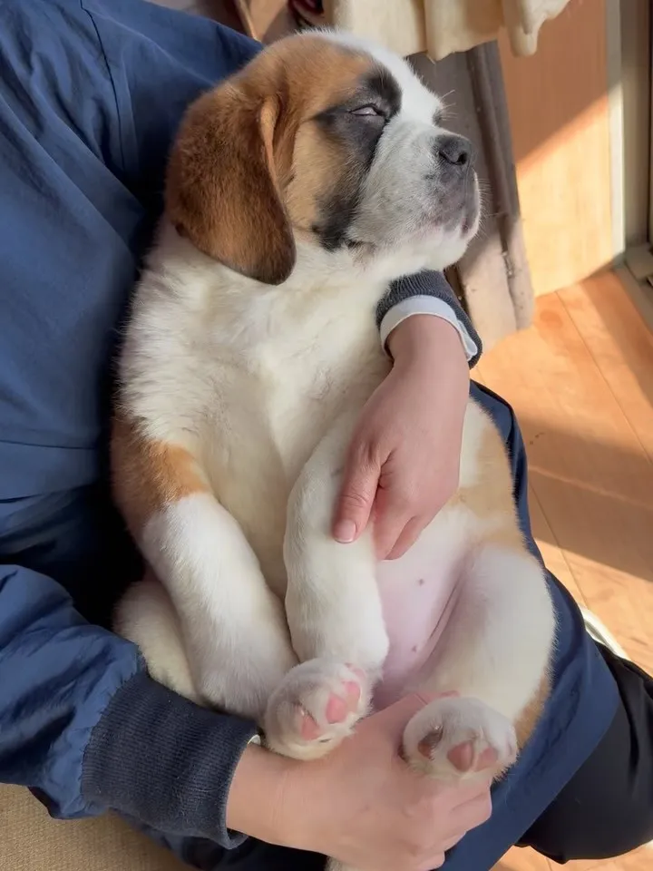 おはようございます🐶