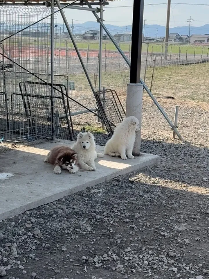 午後のひととき😄