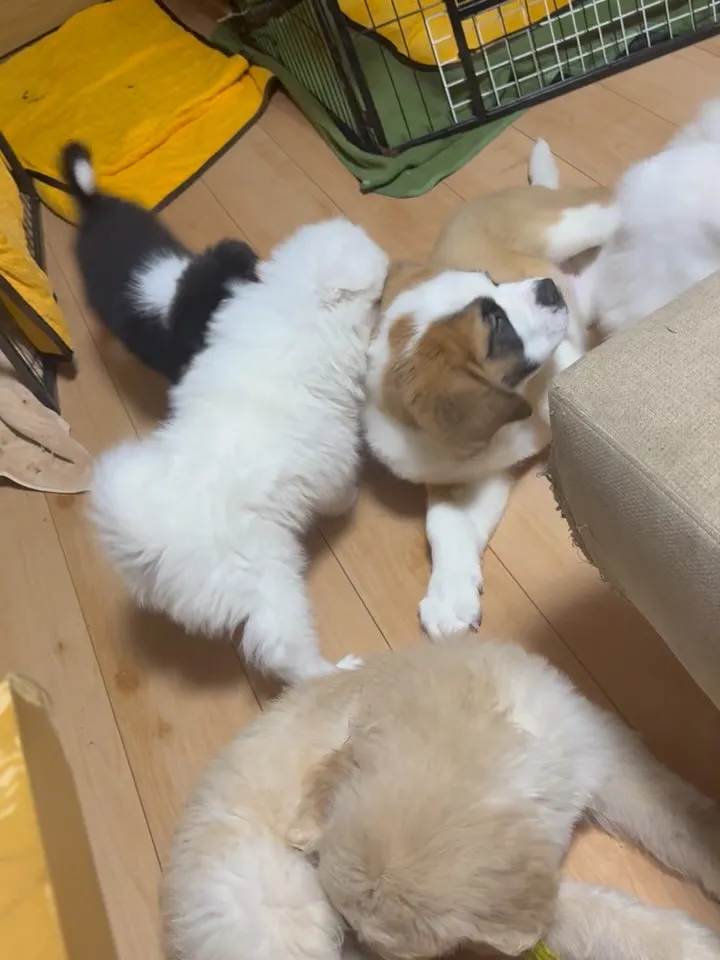 夜明け前⭐️🥲