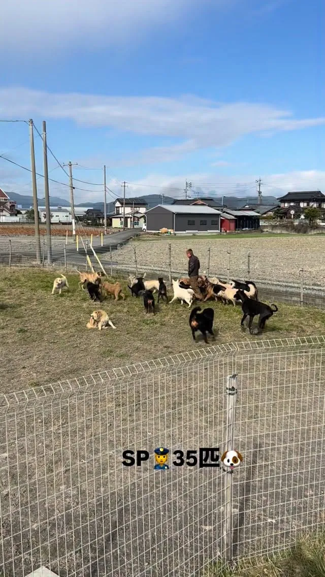 人に襲われる事は無いかもしれませんが…