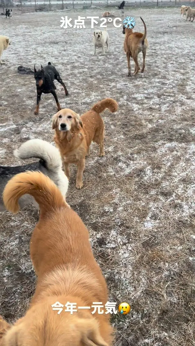 おはようございます❄️