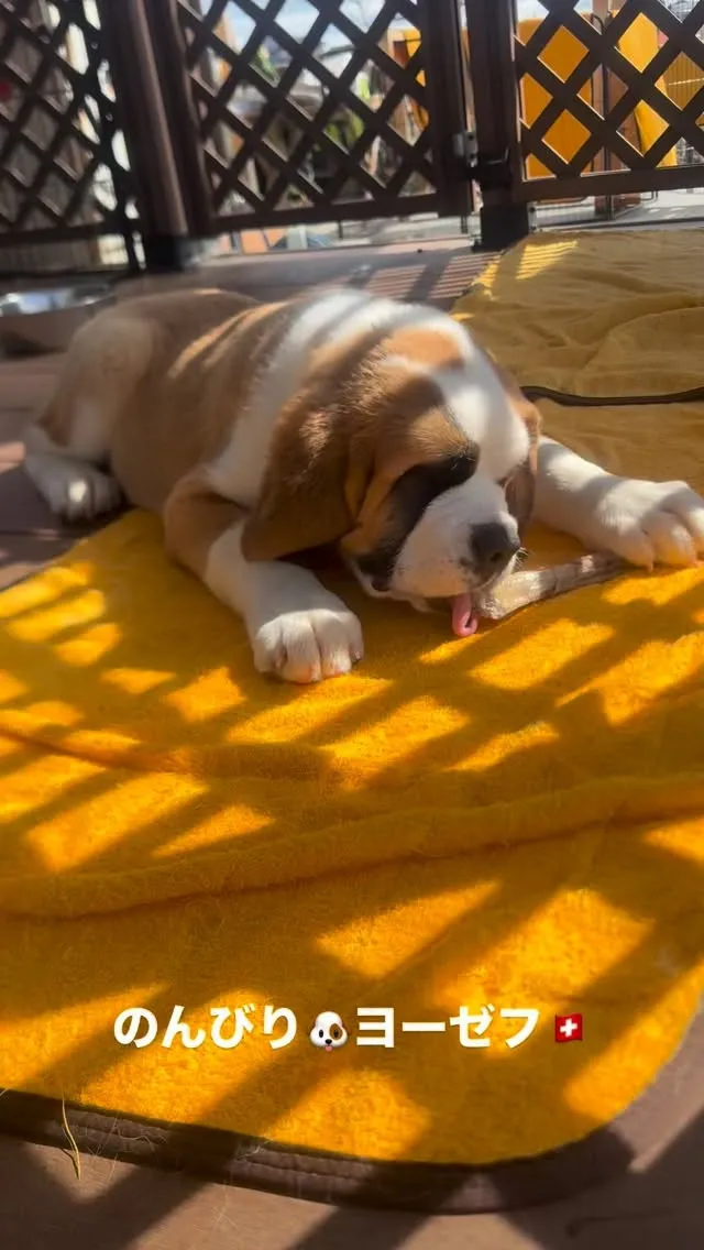 午前のひととき😊