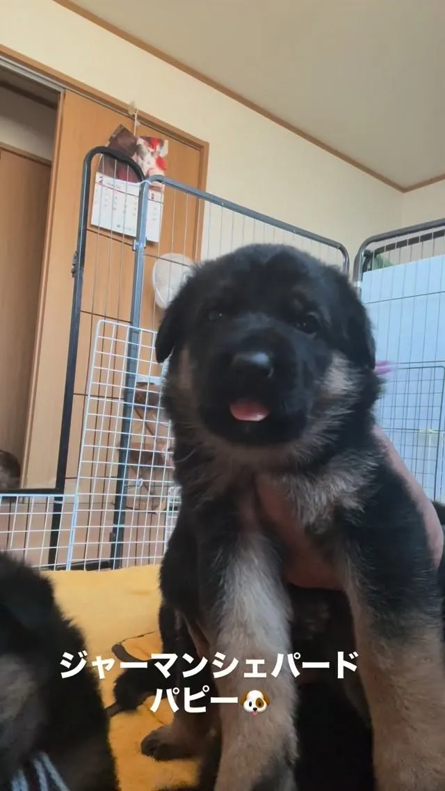 おはようございます🐶