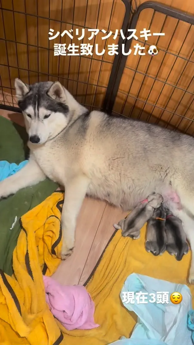 おはようございます。