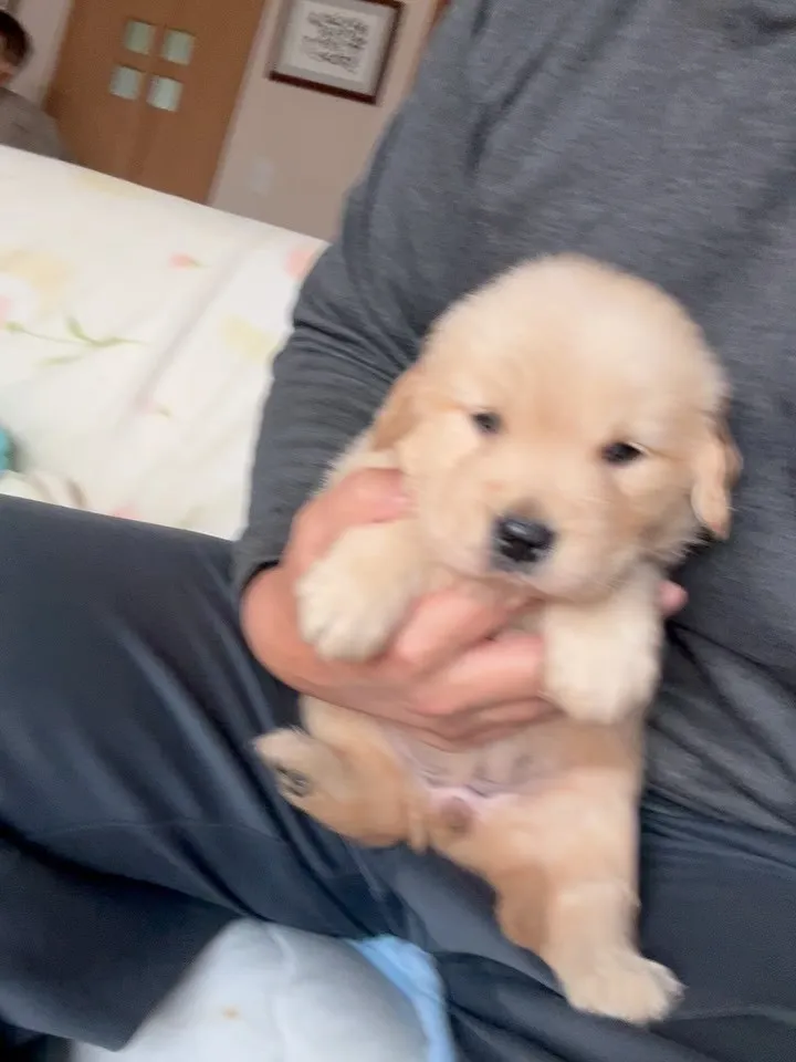 おはようございます🐶