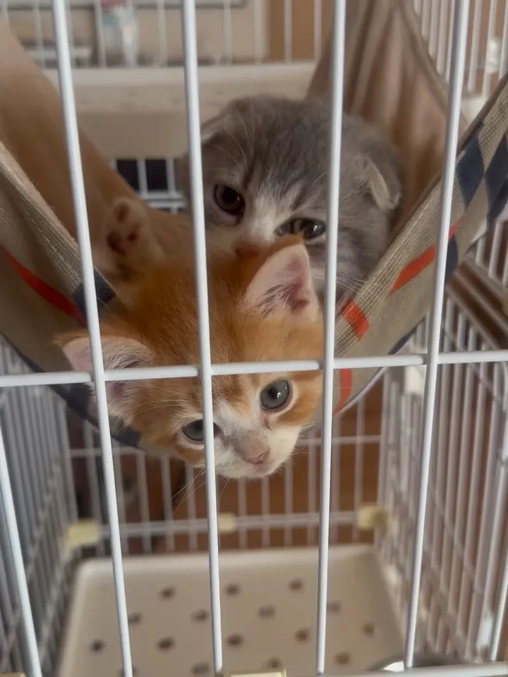 おはようございます😊🐶🐱