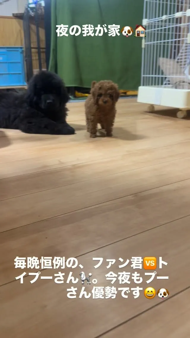 今日も一日お疲れ様でした😌🙇‍♂️