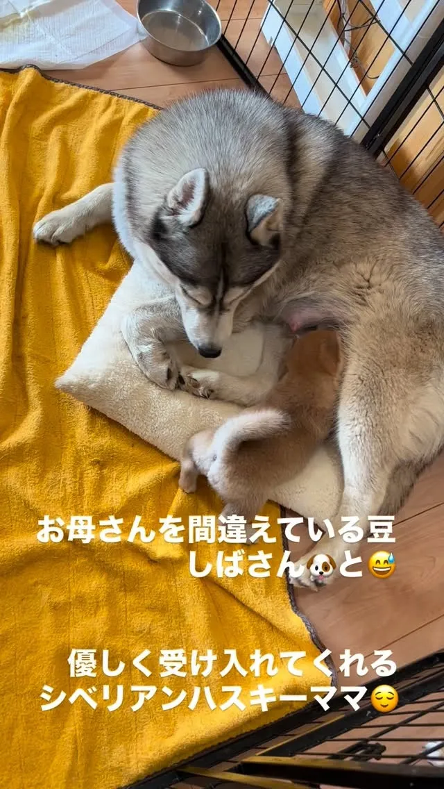 　おはようございます😄🌇