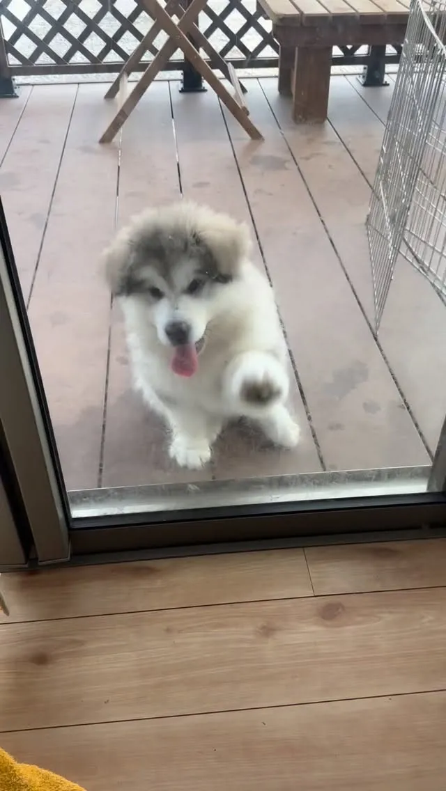 おはようございます🌅