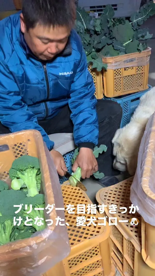 　人生色々🥦　　です🐶😌