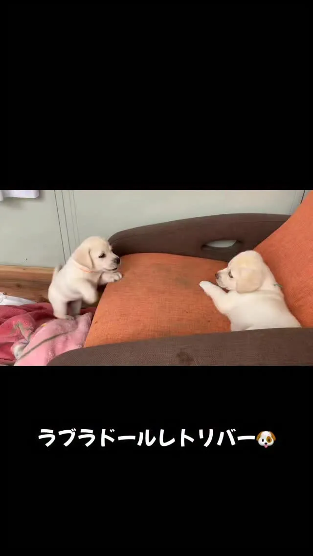 今日も一日お疲れ様でした😌⭐️