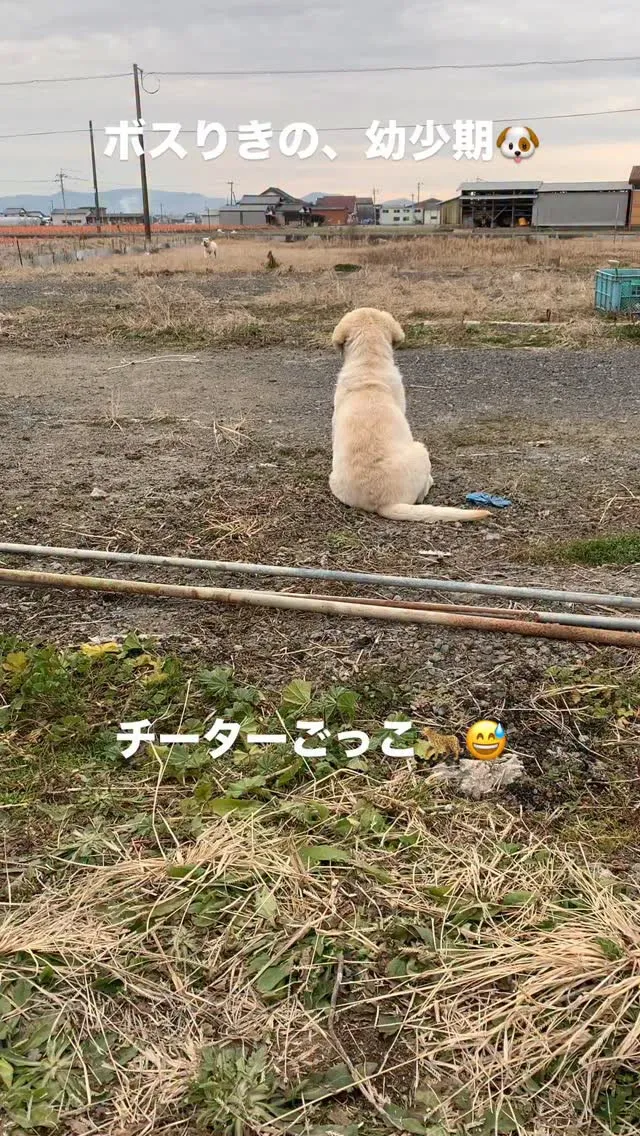 　女帝、小梅姉さんを相手に、