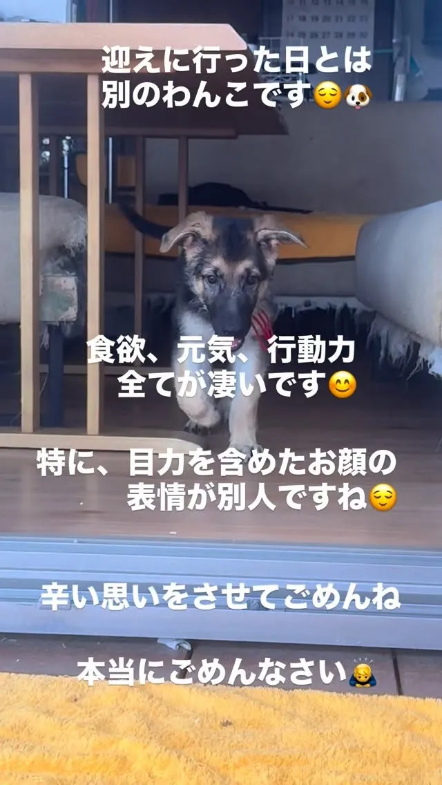 今回の一件に付きまして、ご心配ご迷惑をお掛けしました事に付き...